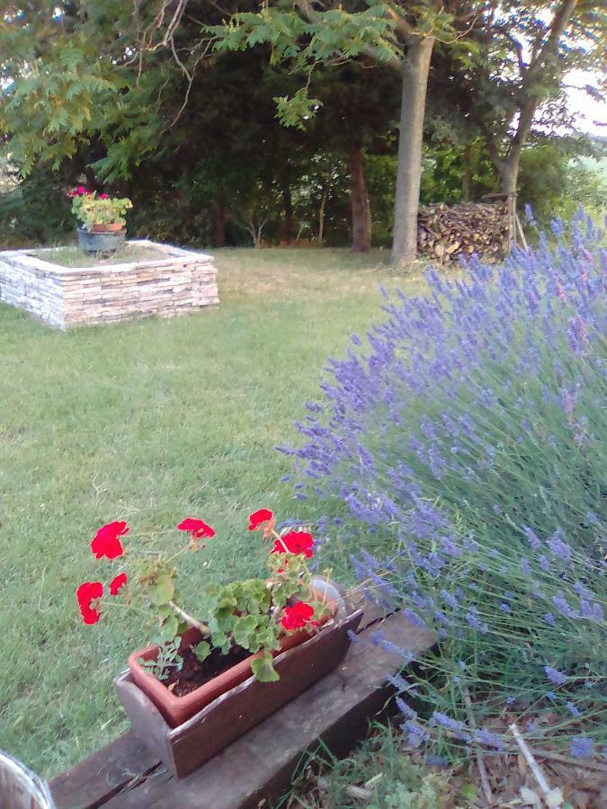 A Casa Di Sara Bed and Breakfast Senigallia Exterior foto